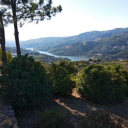 Paraiso Hills - Encostas Do Paraiso: Tranquilidade No Douro ريزندي المظهر الخارجي الصورة