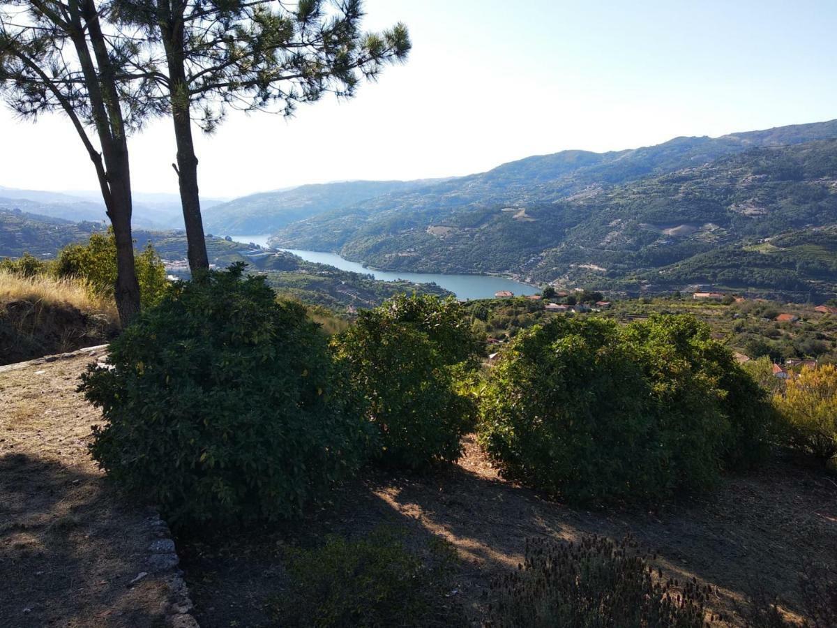 Paraiso Hills - Encostas Do Paraiso: Tranquilidade No Douro ريزندي المظهر الخارجي الصورة